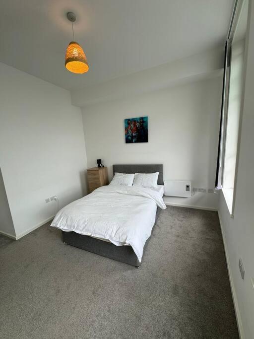 Spacious Flat In Sheffield City Center Gs304 Exteriör bild